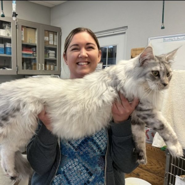 team member with pet